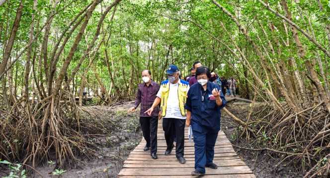 
 Kementerian PUPR akan mendukung untuk menyiapkan showcase mangrove. Foto: KLHK