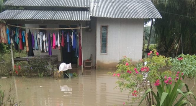 
 Kondisi rumah warga akibat banjir di Kabupaten Lampung Timur pada Kamis, (30/12). Foto : BPBD Kabupaten Lampung Timur