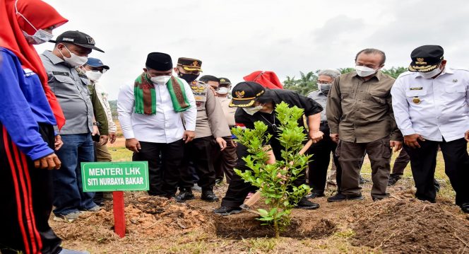 
 Menteri Lingkungan Hidup dan Kehutanan, Siti Nurbaya melakukan penanaman pohon buah di lokasi model Usaha Pelestarian Sumber Daya Alam (UPSA) di Desa Kemang, Pangkalan Kuras, Pelalawan, Provinsi Riau. Foto : KLHK