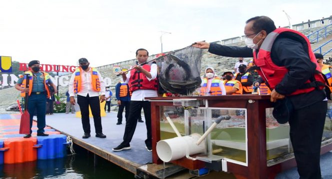 
 Melepaskan Ikan di Bendungan Bintang Bano Presiden Joko Widodo saat meresmikan Bendungan Bintang Bano di Kabupaten Sumbawa Barat, pada Jumat, 14 Januari 2022. Foto: BPMI Setpres/Muchlis Jr